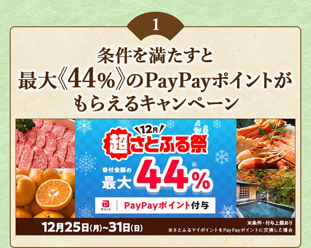 「メガさとふるの日」にさとふるアプリで寄付をすると、合計で最大《44％》のPayPayポイントがもらえるキャンペーン開催中