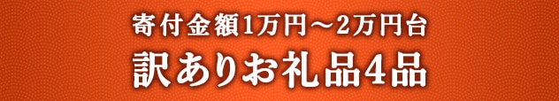 《寄付金額1万円台！》訳ありお礼品４品