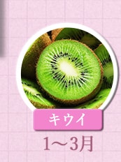 １～３月が旬！《キウイ》