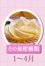 １～４月が旬！《その他柑橘類》