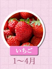１～４月が旬！《いちご》