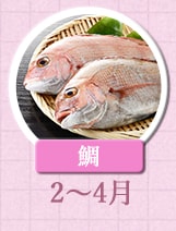 ２～４月が旬！《鯛》