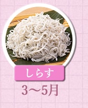 ３～５月が旬！《しらす》