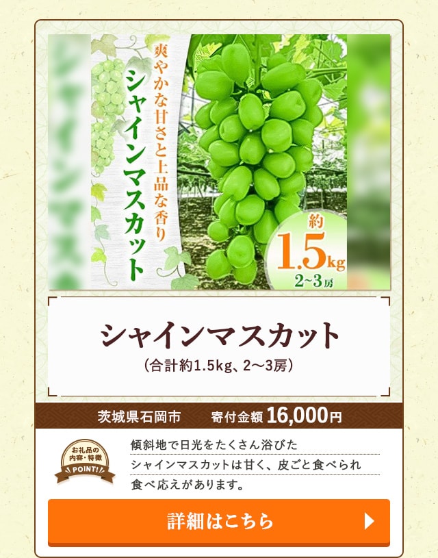 「シャインマスカット」(合計約1.5kg、2～3房)/茨城県石岡市