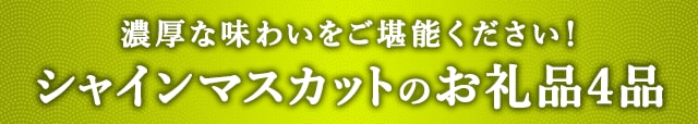 ＼濃厚な味わいをご堪能ください！／シャインマスカットのお礼品４品