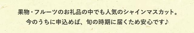 果物・フルーツのお礼品の中でも人気のシャインマスカット。今のうちに申込めば、旬の時期に届くため安心です♪