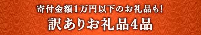 《寄付金額1万円以下のお礼品も！》訳ありお礼品４品