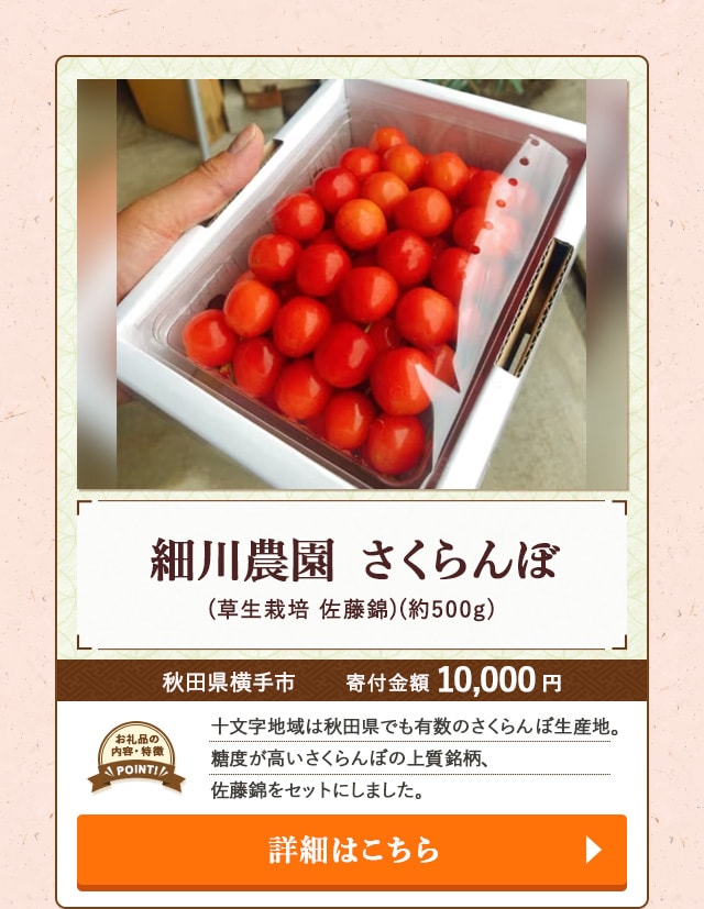 「細川農園 さくらんぼ(草生栽培 佐藤錦)」(約500g)/秋田県横手市