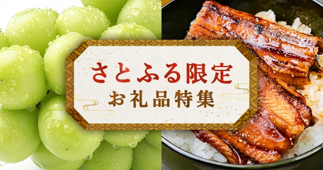 さとふる限定お礼品特集