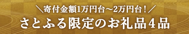 ＼寄付金額1万円台～2万円台！／さとふる限定のお礼品４品