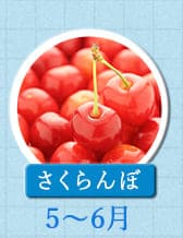 ５～６月が旬！《さくらんぼ》