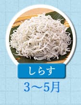 ３～５月が旬！《しらす》