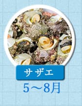 ５～８月が旬！《サザエ》