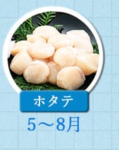 ５～８月が旬！《ホタテ》