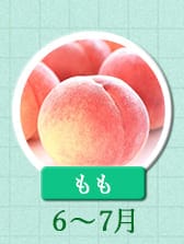６～７月が旬！《もも》
