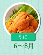 ６～８月が旬！《うに》