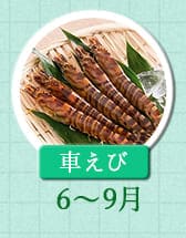 ６～９月が旬！《車エビ》