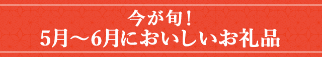 今が旬！《5月～6月においしいお礼品》