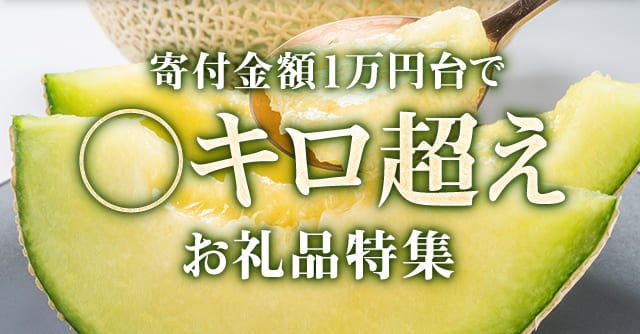 【寄付金額1万円台で〇キロ超え】お礼品特集