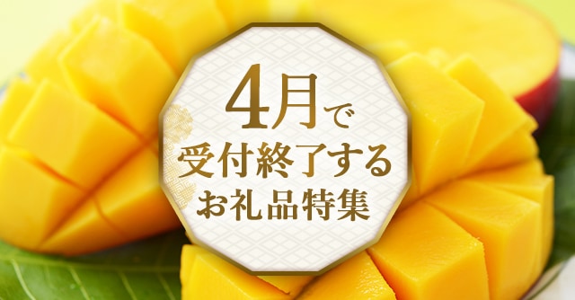 《寄付金額1万円台で楽しめる！》４月で受付終了するお礼品４品