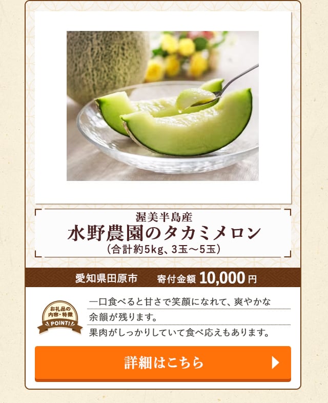 「渥美半島産 水野農園のタカミメロン」(合計約5kg、3玉～5玉)/愛知県田原市