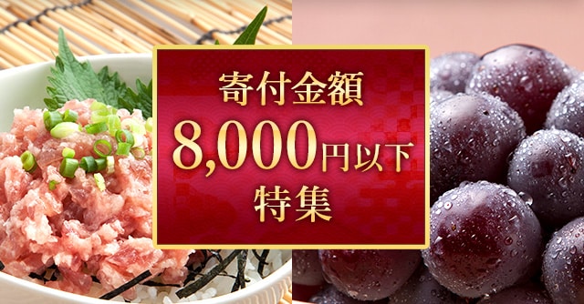 寄付金額が8,000円以下のお礼品特集