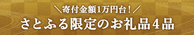 ＼寄付金額1万円台～2万円台！／さとふる限定のお礼品４品