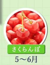 ５～６月が旬！《さくらんぼ》