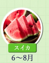 ６～８月が旬！《スイカ》