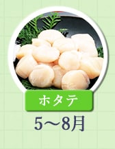 ５～８月が旬！《ホタテ》