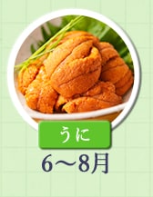 ６～８月が旬！《うに》