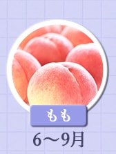 ６～９月が旬！《もも》