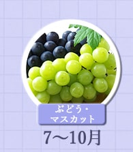 ７～１０月が旬！《ぶどう・マスカット》