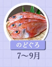 ７～９月が旬！《のどぐろ》