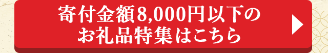 ◎寄付金額8,000円以下特集はこちら◎