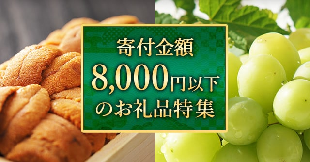 寄付金額が8,000円以下のお礼品特集