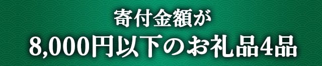 《旬の食材を味わいたい方にも♪》寄付金額が8,000円以下のお礼品４品
