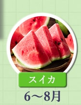 ６～８月が旬！《スイカ》
