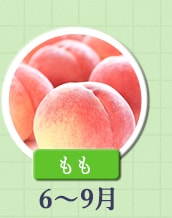 ６～９月が旬！《もも》