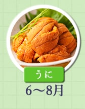 ６～８月が旬！《うに》
