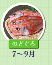 ７～９月が旬！《のどぐろ》