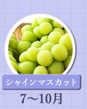 ７～１０月が旬！《シャインマスカット》