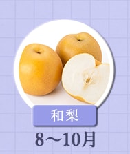 ８月～１０月が旬！《和梨》