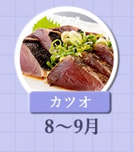 ８～９月が旬！《カツオ》