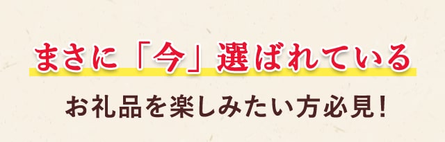＼まさに「今」選ばれているお礼品を楽しみたい方必見！／