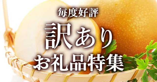 今回は、毎度好評の訳ありお礼品特集です。