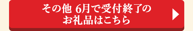 ＞＞その他 6月で受付終了のお礼品はこちら＜＜