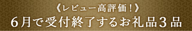 《レビュー高評価！》６月で受付終了するお礼品３品