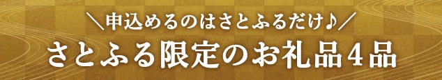 ＼申込めるのはさとふるだけ♪／さとふる限定のお礼品４品