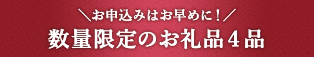 《お申込みはお早めに！》数量限定のお礼品４品